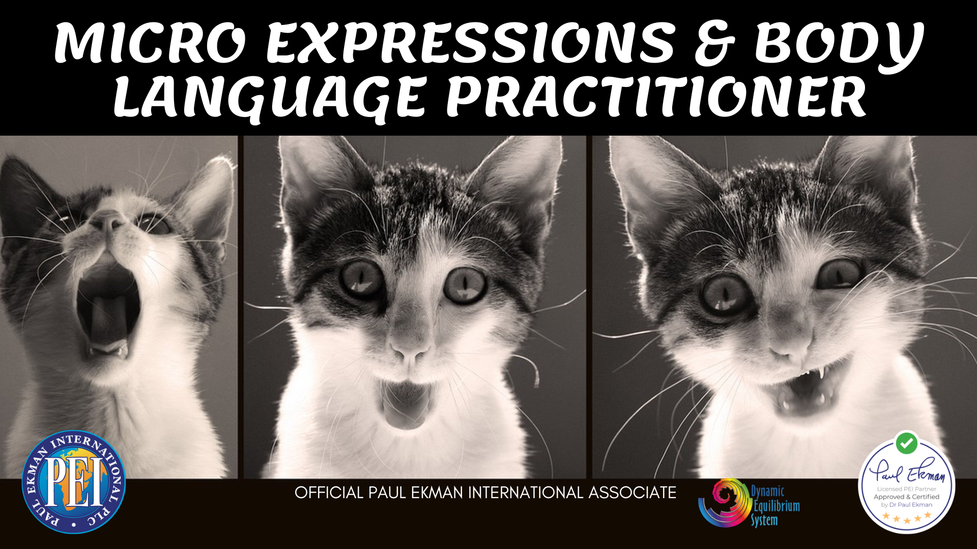 micro-expressions-body-language-practitioner-certification-dynamic